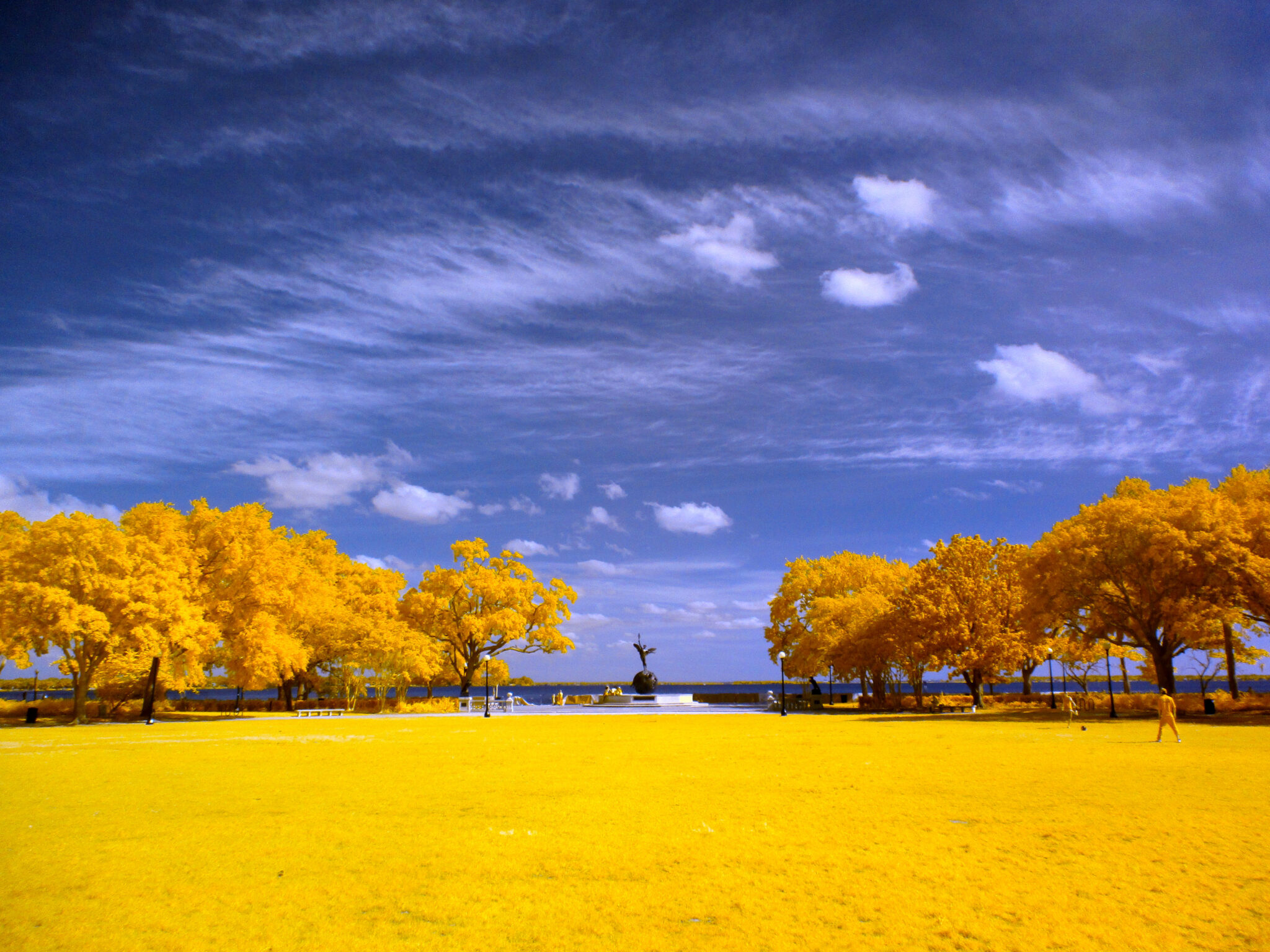spring-day-at-memorial-park-kolari-vision
